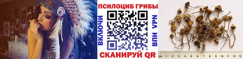 Галлюциногенные грибы GOLDEN TEACHER  наркотики  Тотьма 